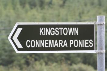 kingstown skylt